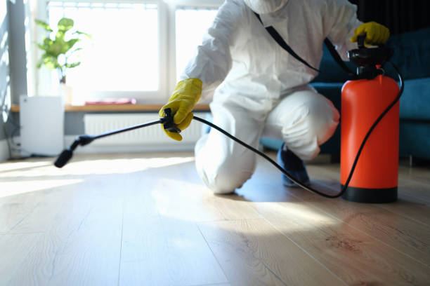 Reliable Odor Removal contractor in Seabrook, SC by Trauma Clean Pros